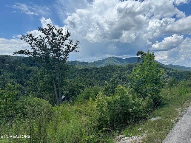 LOT24 Coopers Hawk Way, Sevierville, TN 37862 - photo 1