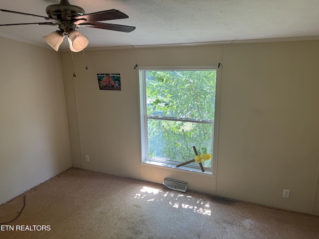 142 Tori Kait Ln, Powell, TN 37849 - photo 12