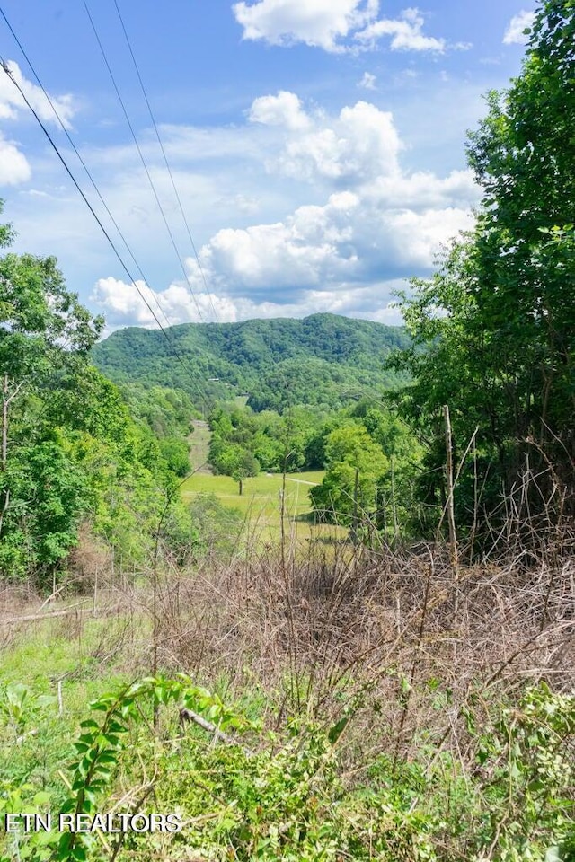 2132 Clinch Valley Rd, Thorn Hill, TN 37881 - photo 20