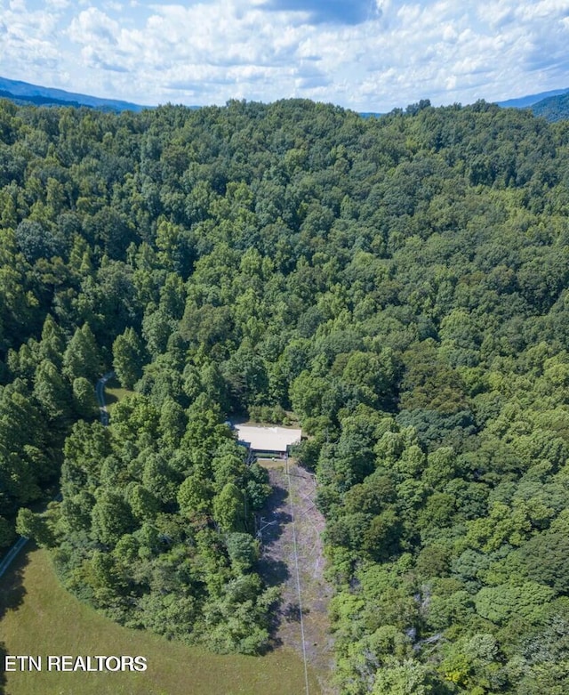 2132 Clinch Valley Rd, Thorn Hill, TN 37881 - photo 17