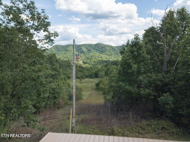 2132 Clinch Valley Rd, Thorn Hill, TN 37881 - photo 18
