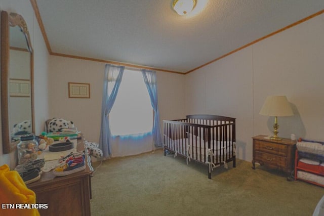 2132 Clinch Valley Rd, Thorn Hill, TN 37881 - photo 14