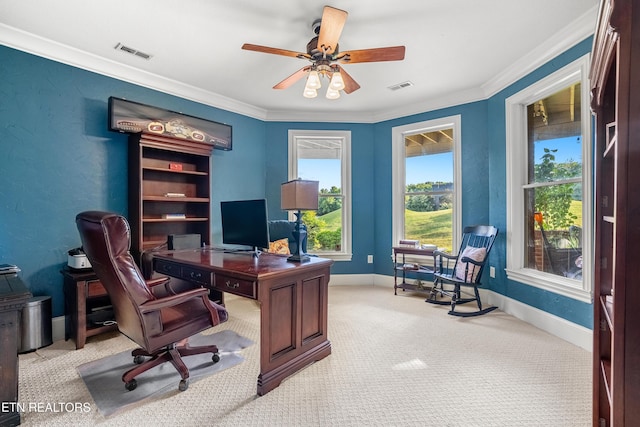 1027 Shadow Brook Dr, Knoxville, TN 37922 - photo 40