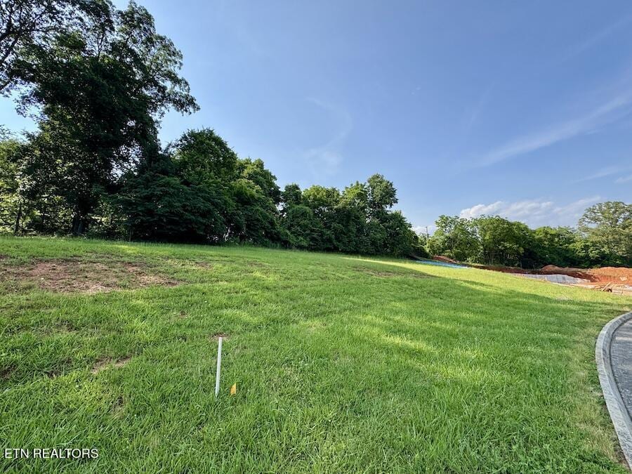 12333 Green Mountain Dr, Knoxville, TN 37934 - photo 2
