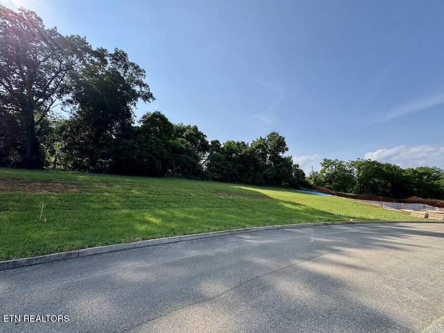 12333 Green Mountain Dr, Knoxville, TN 37934 - photo 4