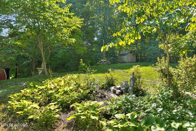 800 Brown Mountain Loop Rd, Knoxville, TN 37920 - photo 36