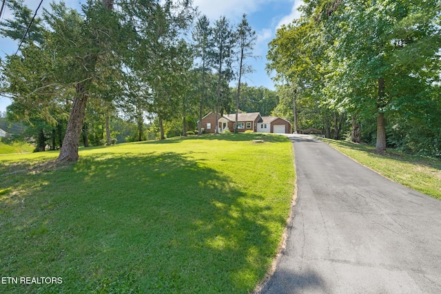 800 Brown Mountain Loop Rd, Knoxville, TN 37920 - photo 37