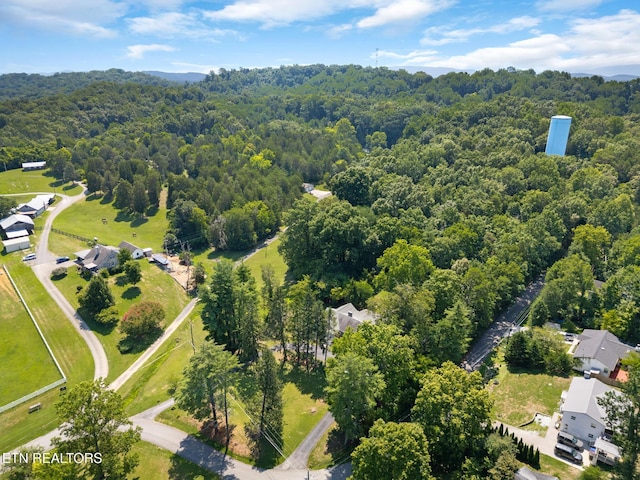 800 Brown Mountain Loop Rd, Knoxville, TN 37920 - photo 38