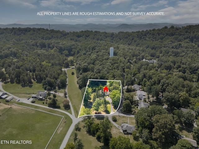 800 Brown Mountain Loop Rd, Knoxville, TN 37920 - photo 39