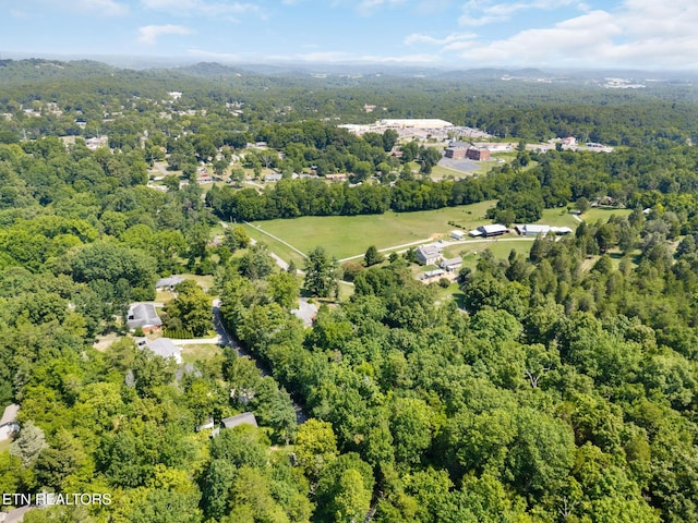 800 Brown Mountain Loop Rd, Knoxville, TN 37920 - photo 40