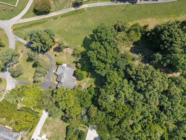 800 Brown Mountain Loop Rd, Knoxville, TN 37920 - photo 41