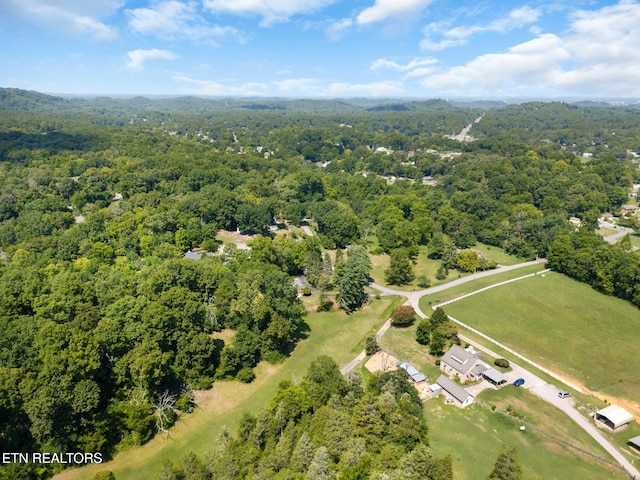 800 Brown Mountain Loop Rd, Knoxville, TN 37920 - photo 42
