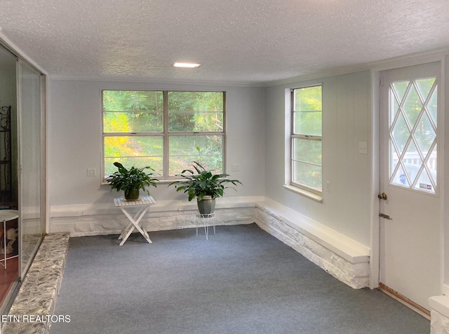 800 Brown Mountain Loop Rd, Knoxville, TN 37920 - photo 27
