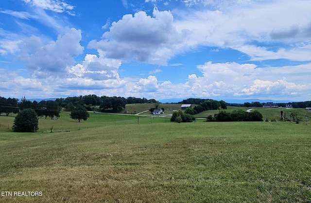 3750 Sinking Creek Rd, Greenback, TN 37742 - photo 6