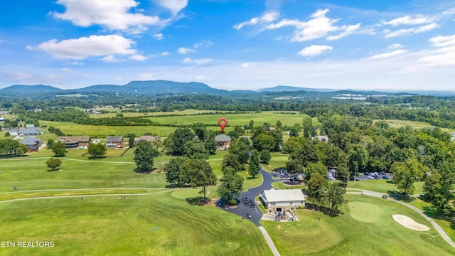 8528 N Ruggles Ferry Pike, Strawberry Plains, TN 37871 - photo 41