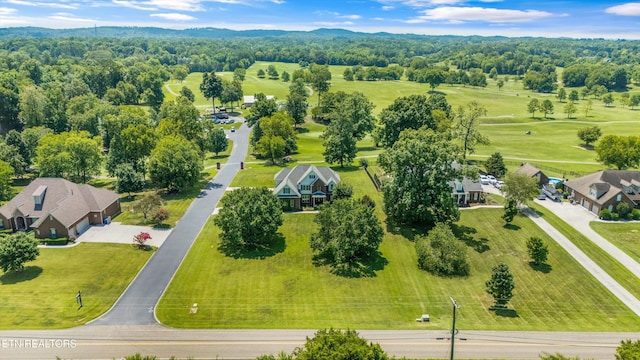 8528 N Ruggles Ferry Pike, Strawberry Plains, TN 37871 - photo 42