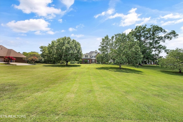 8528 N Ruggles Ferry Pike, Strawberry Plains, TN 37871 - photo 43