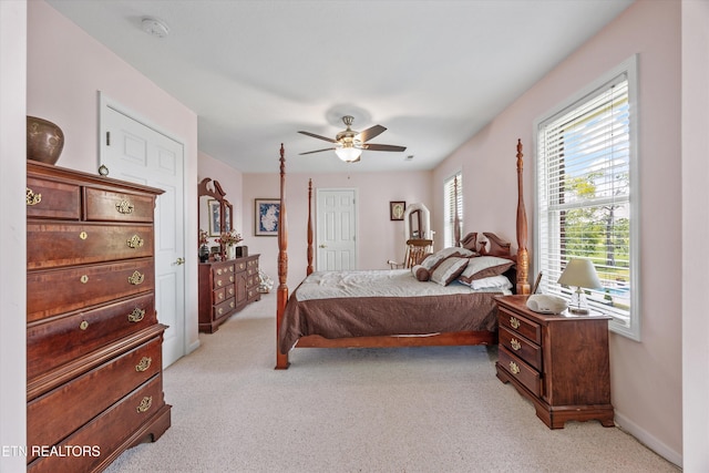 8528 N Ruggles Ferry Pike, Strawberry Plains, TN 37871 - photo 18