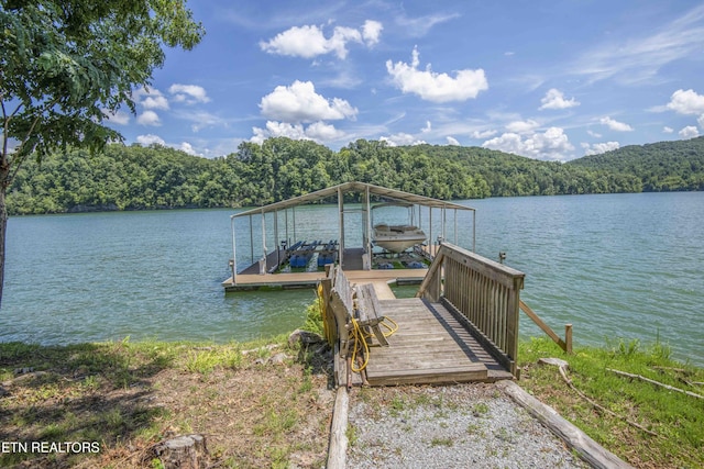 620 Bluff View Rd, New Tazewell, TN 37825 - photo 6