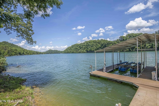 620 Bluff View Rd, New Tazewell, TN 37825 - photo 7