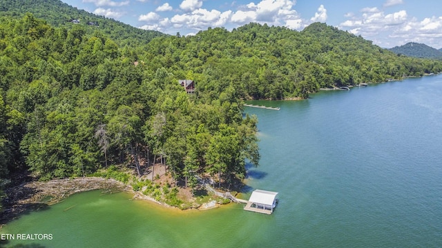 620 Bluff View Rd, New Tazewell, TN 37825 - photo 4
