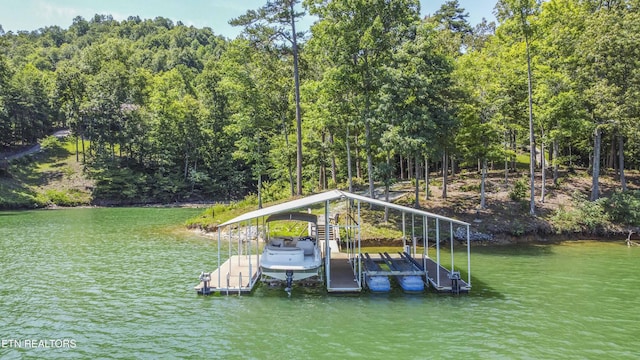 620 Bluff View Rd, New Tazewell, TN 37825 - photo 3