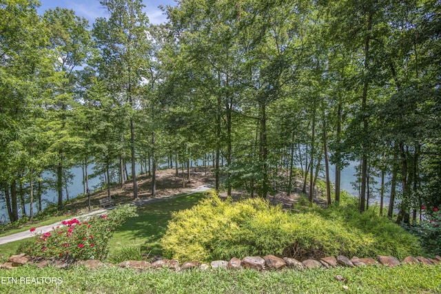 620 Bluff View Rd, New Tazewell, TN 37825 - photo 9
