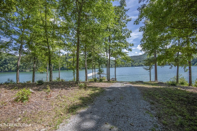 620 Bluff View Rd, New Tazewell, TN 37825 - photo 10