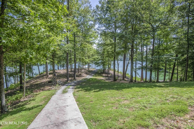 620 Bluff View Rd, New Tazewell, TN 37825 - photo 11