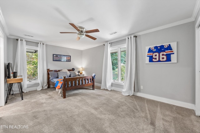 12309 N Fox Den Dr, Knoxville, TN 37934 - photo 33