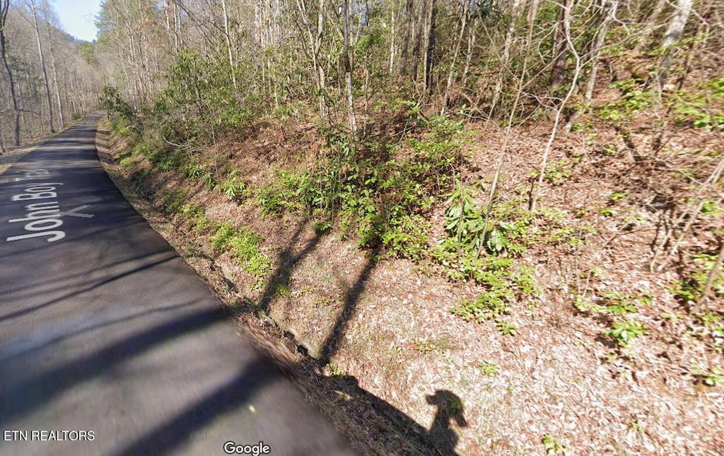 John Boy Trl, Sevierville, TN 37862 - photo 3