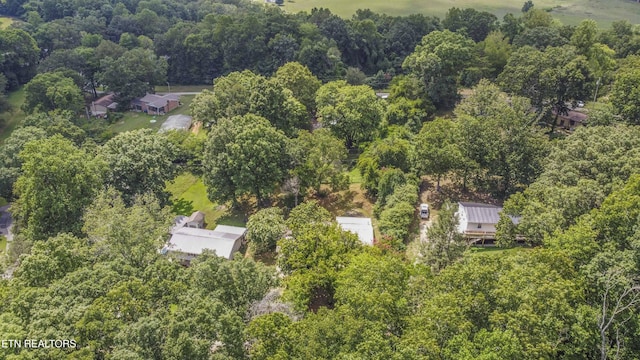 339 Cofer Cir, Harriman, TN 37748 - photo 39