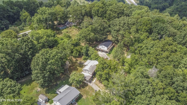 339 Cofer Cir, Harriman, TN 37748 - photo 41