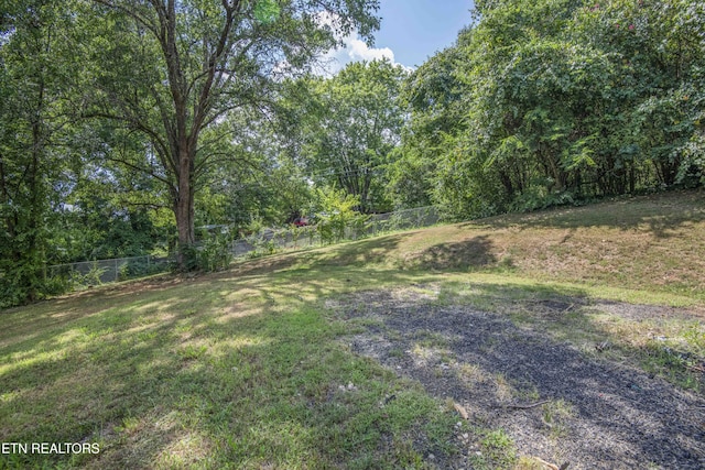 339 Cofer Cir, Harriman, TN 37748 - photo 47