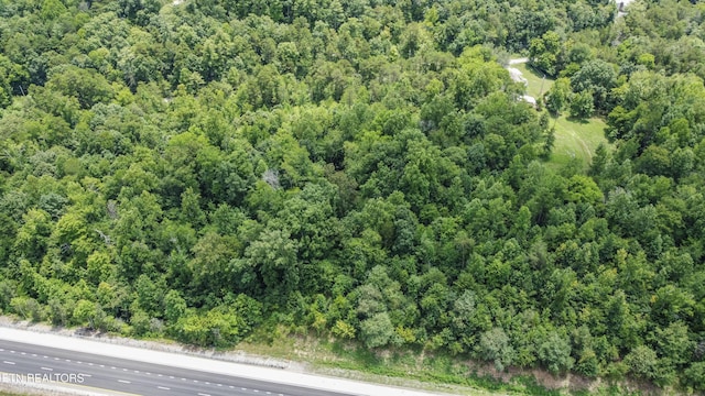 Buttermilk Rd, Lenoir City, TN 37771 - photo 3