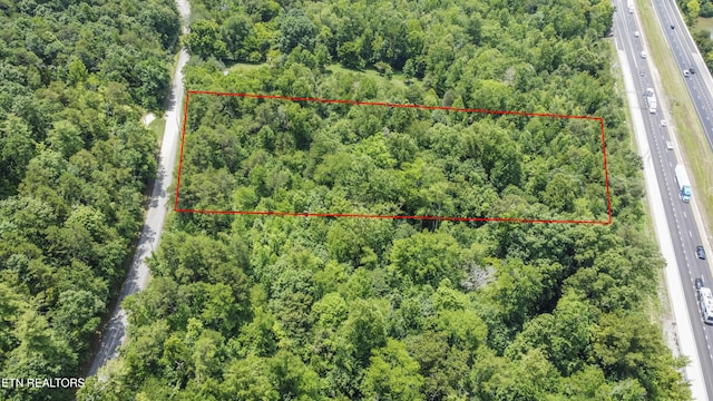 Buttermilk Rd, Lenoir City, TN 37771 - photo 4