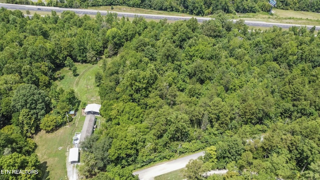 Buttermilk Rd, Lenoir City, TN 37771 - photo 6