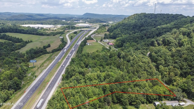 Buttermilk Rd, Lenoir City, TN 37771 - photo 9