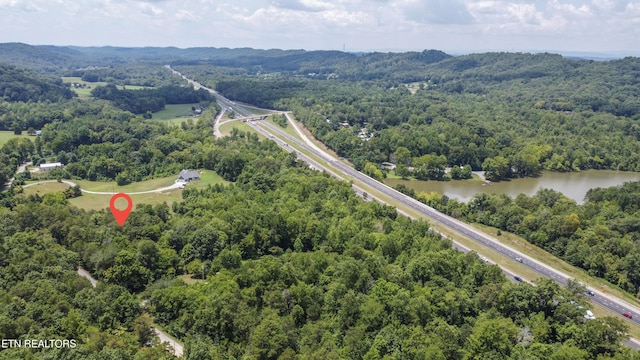 Buttermilk Rd, Lenoir City, TN 37771 - photo 12