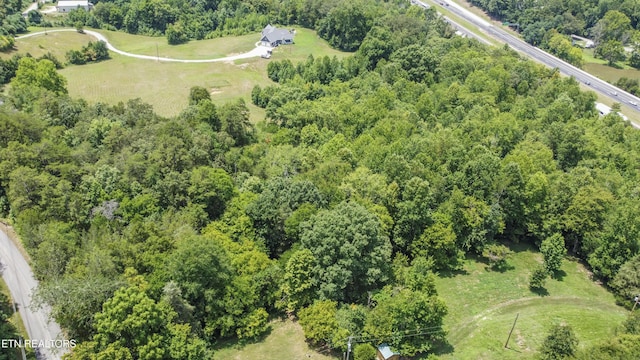 Buttermilk Rd, Lenoir City, TN 37771 - photo 13