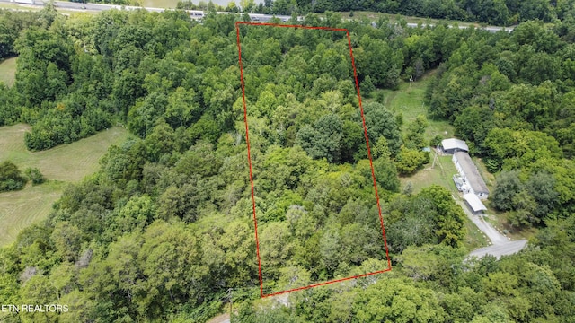 Buttermilk Rd, Lenoir City, TN 37771 - photo 15