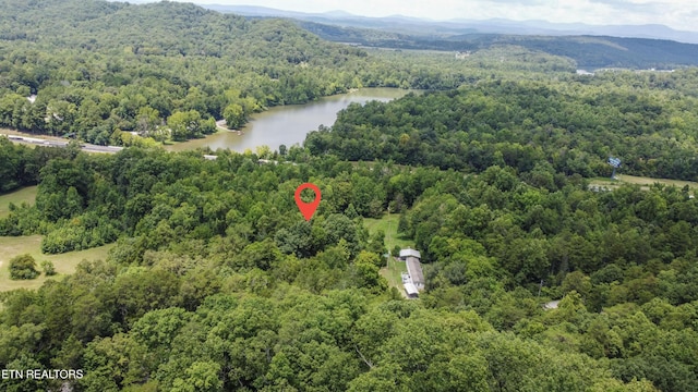 Buttermilk Rd, Lenoir City, TN 37771 - photo 16