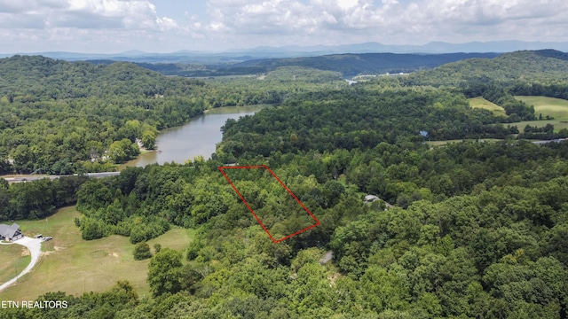 Buttermilk Rd, Lenoir City, TN 37771 - photo 17