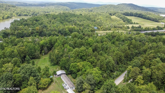 Buttermilk Rd, Lenoir City, TN 37771 - photo 26
