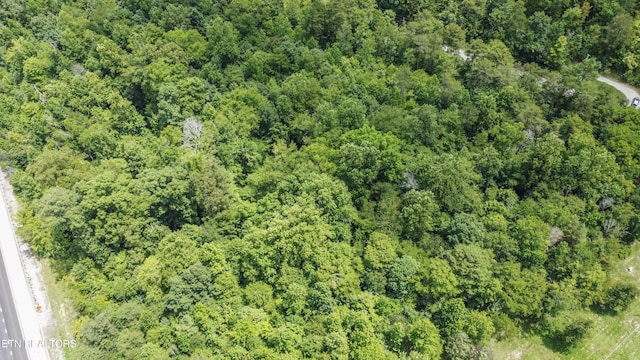 Buttermilk Rd, Lenoir City, TN 37771 - photo 30