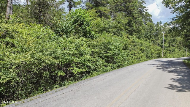 Buttermilk Rd, Lenoir City, TN 37771 - photo 35