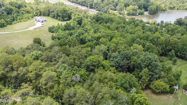 Buttermilk Rd, Lenoir City, TN 37771 - photo 38