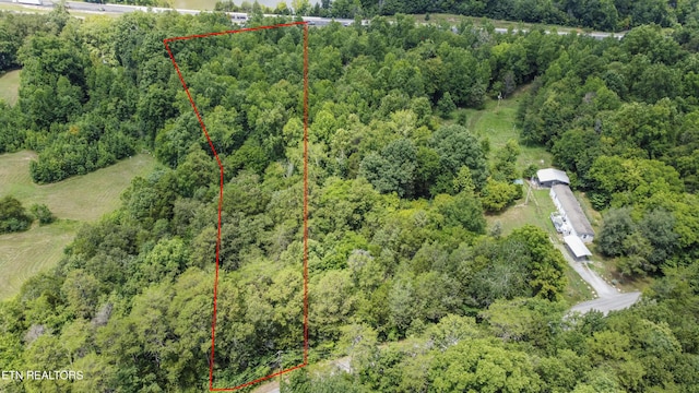 Buttermilk Rd, Lenoir City, TN 37771 - photo 39