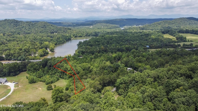 Buttermilk Rd, Lenoir City, TN 37771 - photo 41