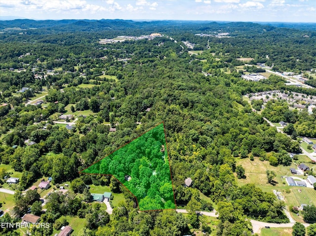 7801 Rollen Rd, Knoxville, TN 37920 - photo 26